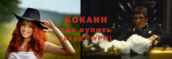 ГАЛЛЮЦИНОГЕННЫЕ ГРИБЫ Абаза