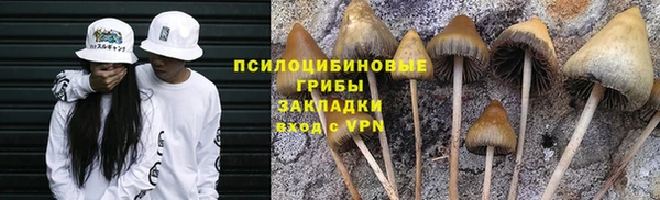 ГАЛЛЮЦИНОГЕННЫЕ ГРИБЫ Абаза